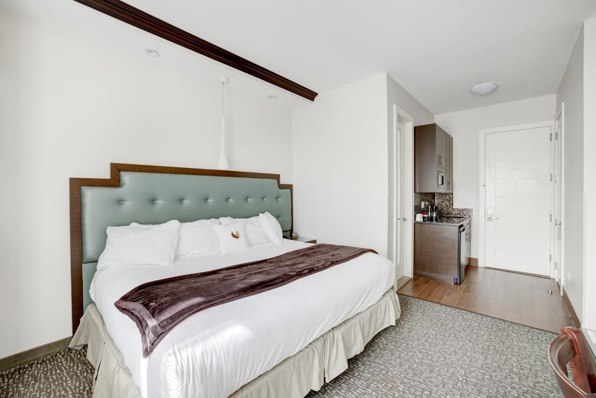 Condor Brooklyn Nueva York